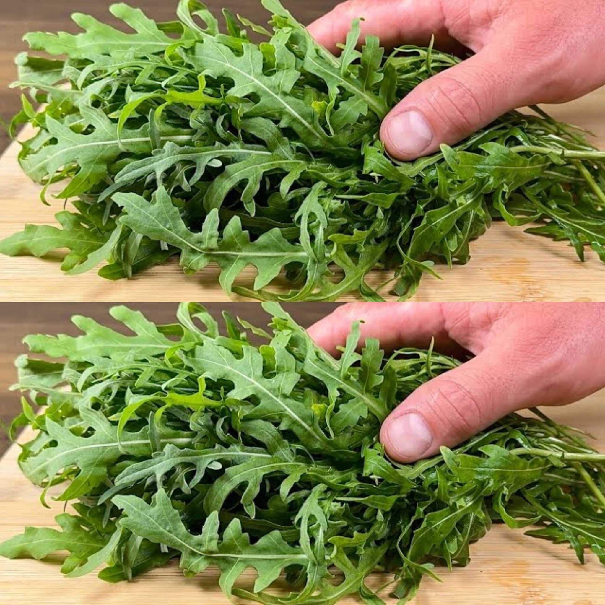 Arugula and Blood Sugar