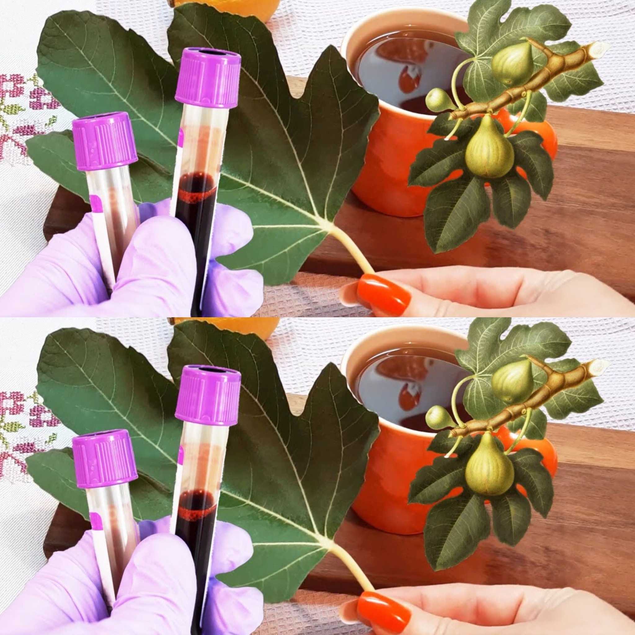 Why You Should Eat 2 Fig Leaves a Day