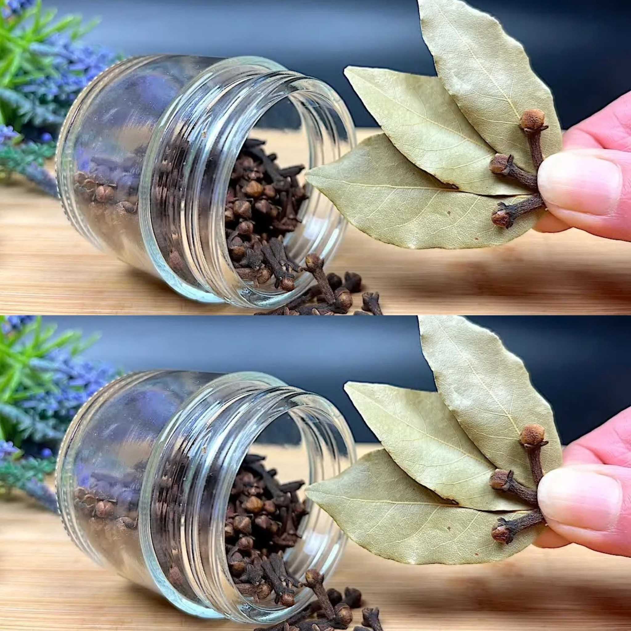Simple and Effective Hair Loss Remedy for Hair Growth: Bay Leaves & Castor Oil Recipe