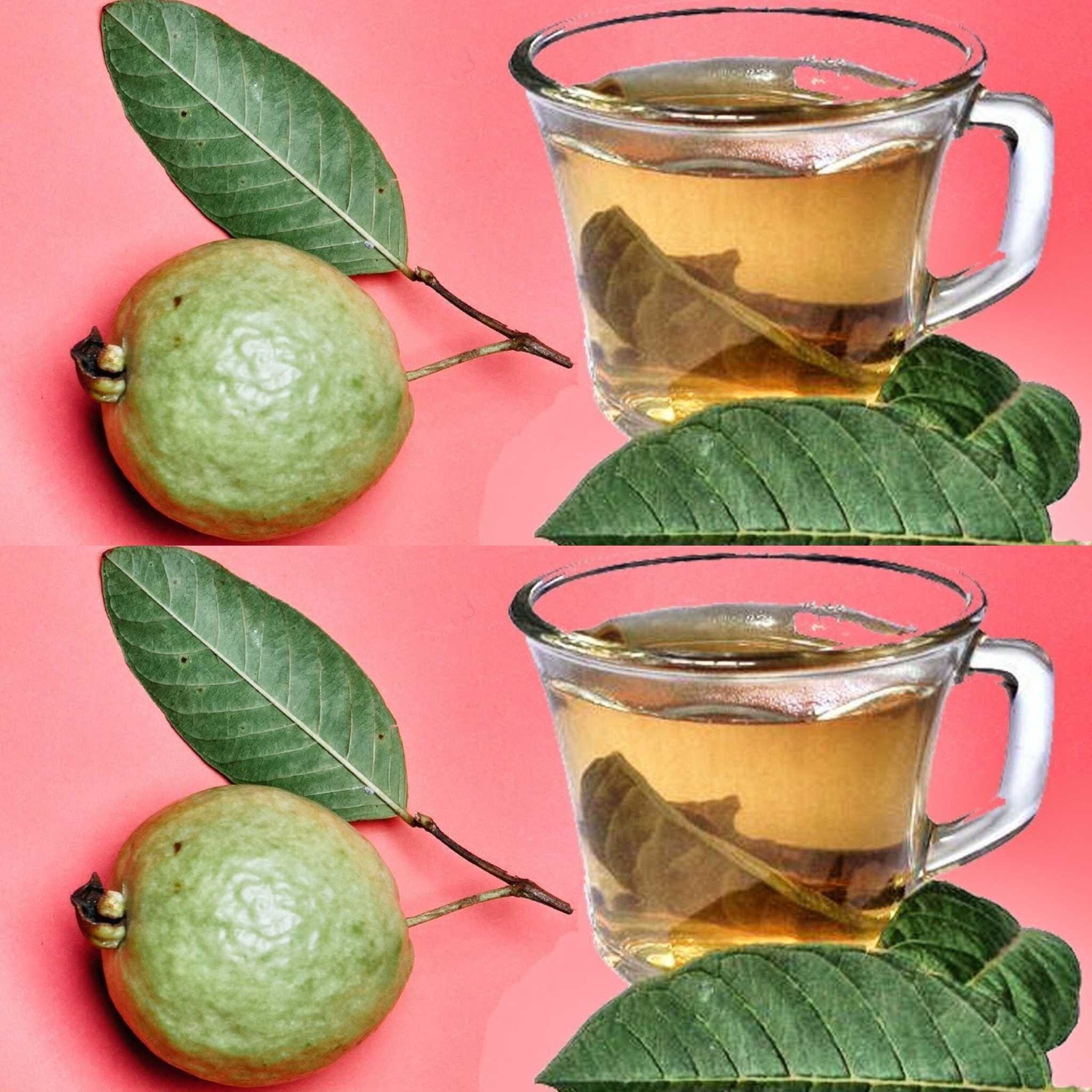 Here’s What Happens If You Drink Guava Leaf Tea 🍃 – 3 Benefits