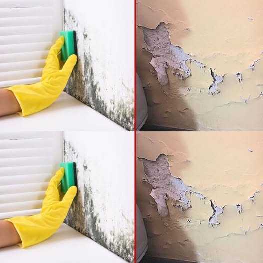 Damp in the house? With this remedy you can eliminate it and perfume the whole house!