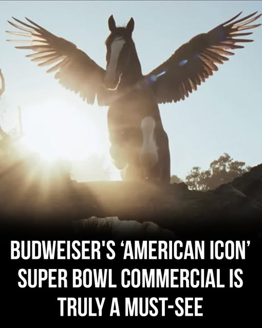 Budweiser American Icon Super Bowl commercial is truly a must-see! – Story Of The Day!