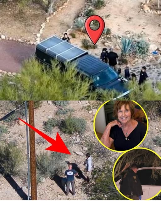 IRONCLAD EVIDENCE FROM A HOSPITAL BED, The Guthrie familys elderly gardener suddenly regains consciousness after a mysterious accident, his first words are just one sentence, The person who took Nancy was! – Story Of The Day!