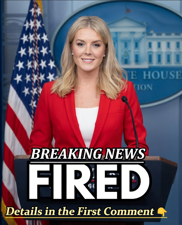 FEMA Boss Fired After Remarks To Congress. – CELEB BNEWS