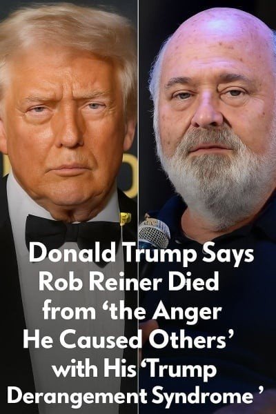 Donald Trump Says Rob Reiner Died from ‘the – story-veterans.com